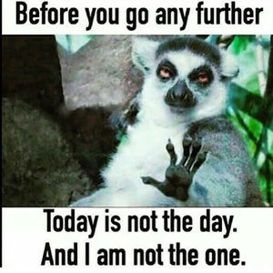 Meet your Posher, Miss